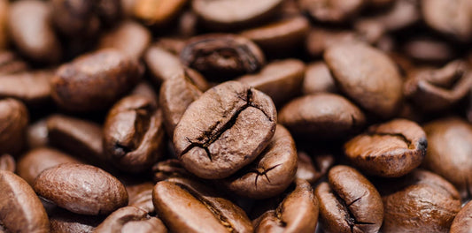 Our freshly roasted Brazilian Cerrado
